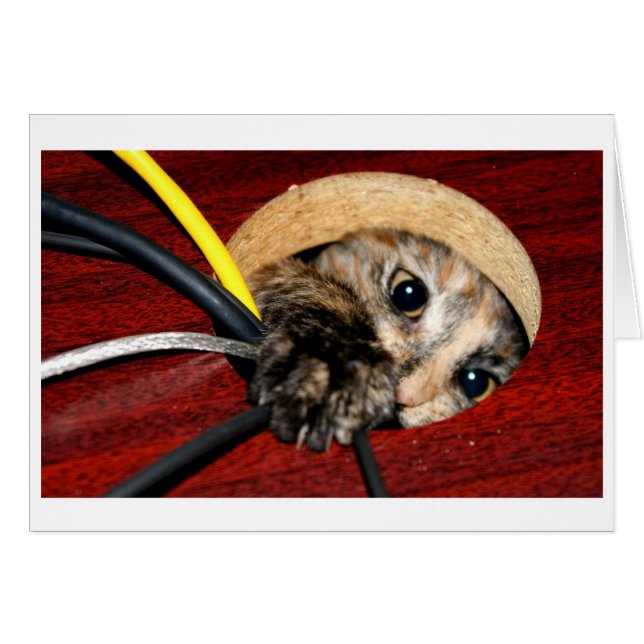 Desk nymph (Vorderseite (Horizontal))