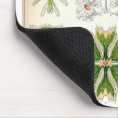 Desmid Mousepad (Ecke)