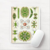 Desmid Mousepad (Mit Mouse)