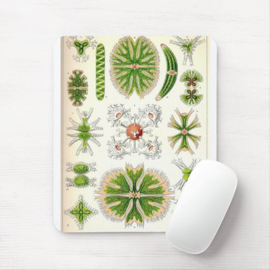 Desmid Mousepad (Mit Mouse)