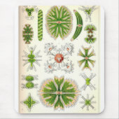 Desmid Mousepad (Vorne)