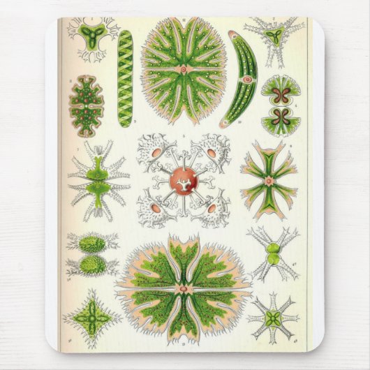 Desmid Mousepad (Vorne)