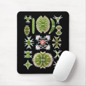 Desmids Mousepad (Mit Mouse)