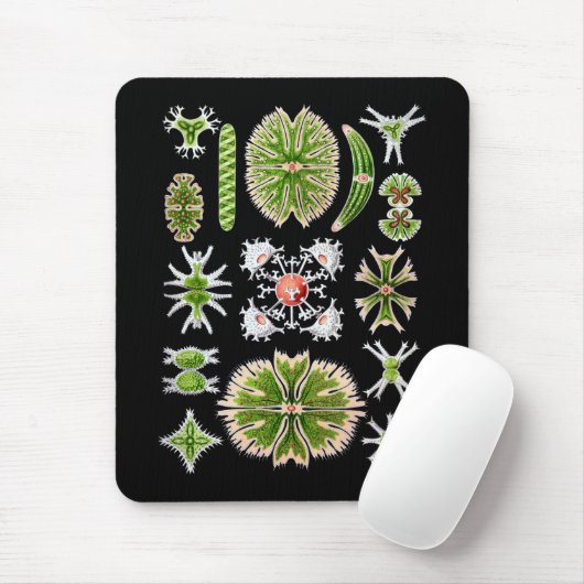 Desmids Mousepad (Mit Mouse)