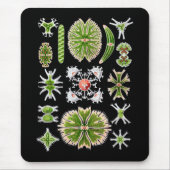 Desmids Mousepad (Vorne)