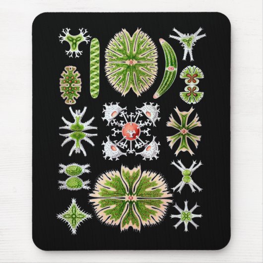 Desmids Mousepad (Vorne)