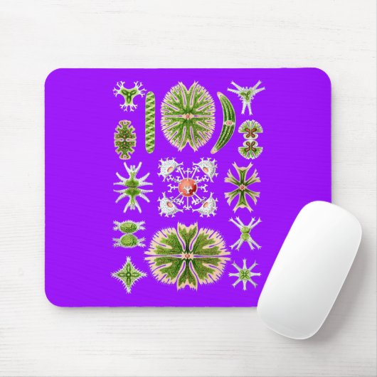 Desmids Mousepad (Mit Mouse)