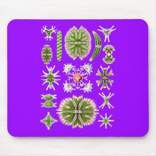 Desmids Mousepad (Vorne)