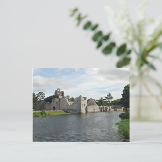 Desmond Castle Postcard Postkarte (Stehend Vorderseite)