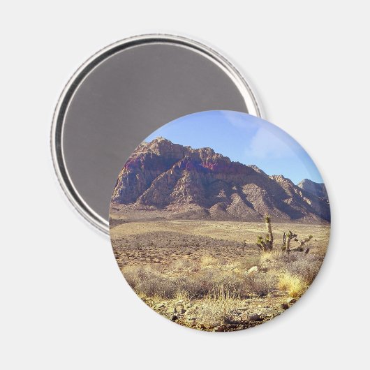 Desolation von Western Magnet (Vorderseite/Rückseite)