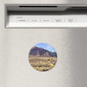 Desolation von Western Magnet (In Situ (Geschirrspüler))