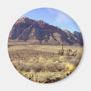 Desolation von Western Magnet