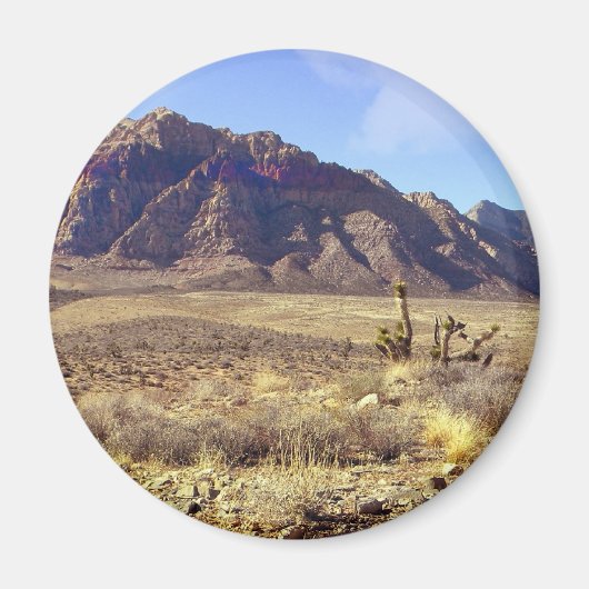 Desolation von Western Magnet (Vorne)