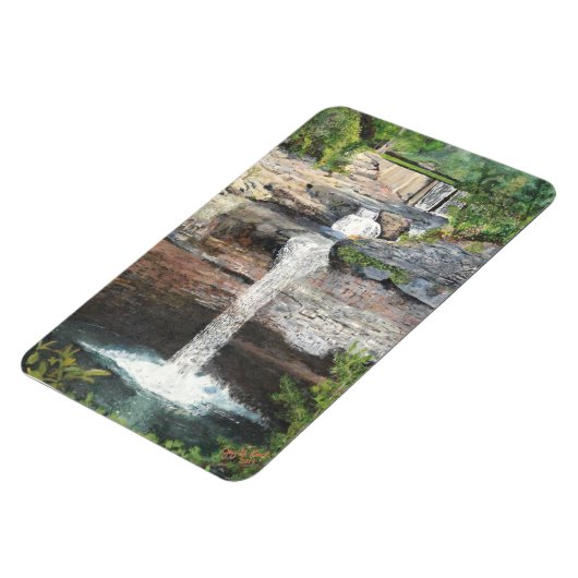 Desoto Falls Magnet (Linke Seite)