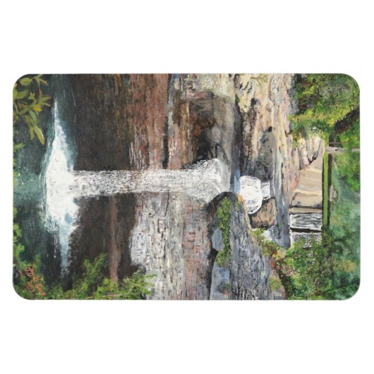 Desoto Falls Magnet (Horizontal)