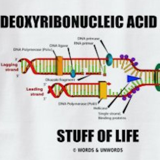 Desoxyribonukleinsäure (DNA) T-Shirt