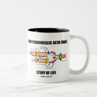 Desoxyribonukleinsäure (DNA)