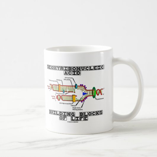 Desoxyribonukleinsäure-Gebäude-Blöcke des Lebens Kaffeetasse (Rechts)