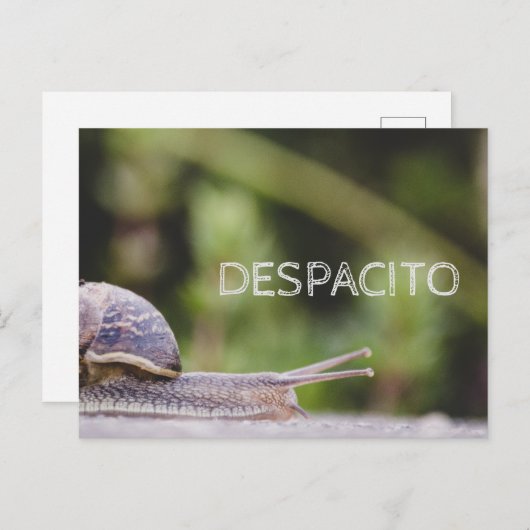 Despacito Postkarte (Vorne/Hinten)