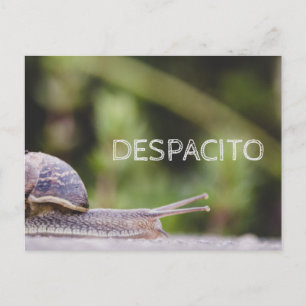 Despacito Postkarte