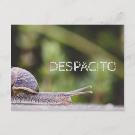 Despacito Postkarte (Vorderseite)