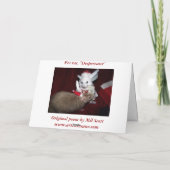 Despereaux Weihnachtskarte Feiertagskarte (Rückseite)