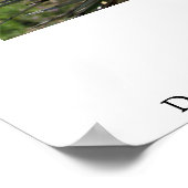 Dessert Bloom Poster (Ecke)