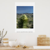 Dessert Bloom Poster (Küche)