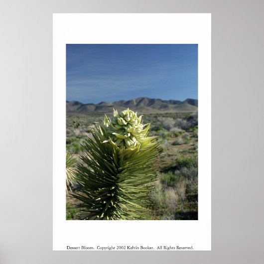 Dessert Bloom Poster (Vorne)