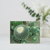 Dessert Cacti Postkarte (Stehend Vorderseite)