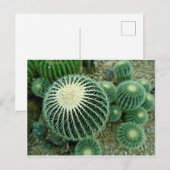 Dessert Cacti Postkarte (Vorne/Hinten)