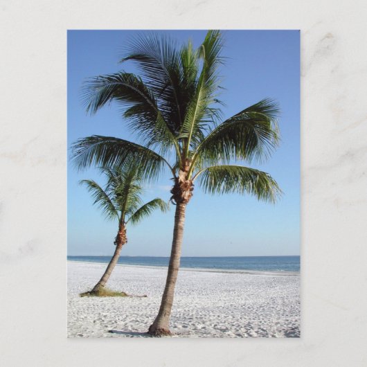 Destin Florida Postkarte (Vorderseite)