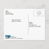 Destin Florida Stühle und Umbrettpostkarte Postkarte (Rückseite)