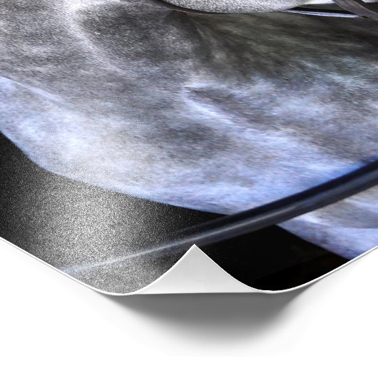 Destin Fotodruck (Ecke)