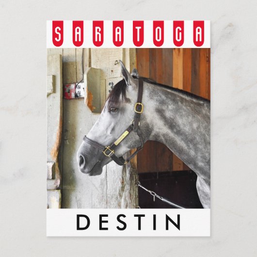 Destin - Horse Haven Postkarte (Vorderseite)