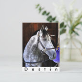 Destin Postkarte (Stehend Vorderseite)