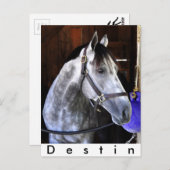 Destin Postkarte (Vorne/Hinten)