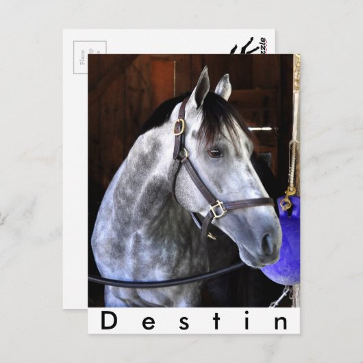 Destin Postkarte (Vorne/Hinten)