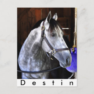 Destin Postkarte