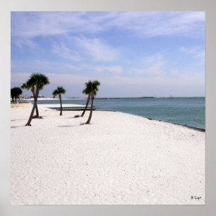 Destin Schönheit, S Cyr Poster