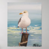 Destin Seagull Poster (Vorne)