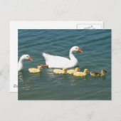 Destiny Geschenke Postkarte (Vorne/Hinten)