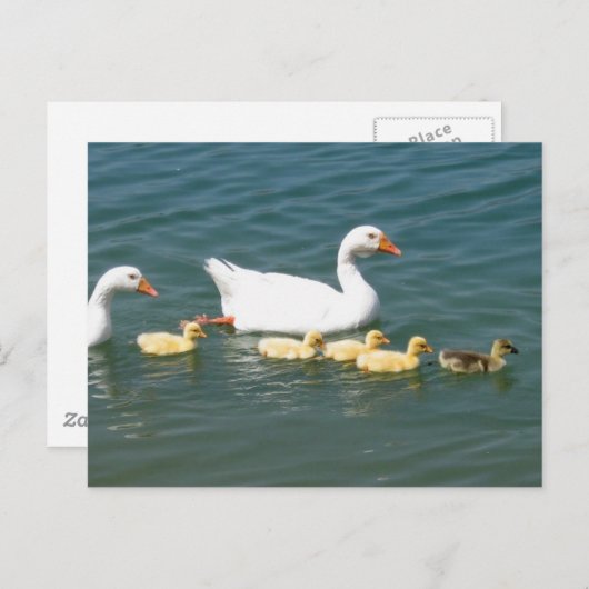 Destiny Geschenke Postkarte (Vorne/Hinten)