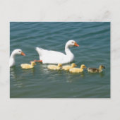 Destiny Geschenke Postkarte (Vorderseite)