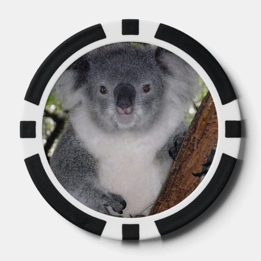 Destiny Zazzle Niedlich Koala Aussi Outback Pokerchips (Vorderseite)