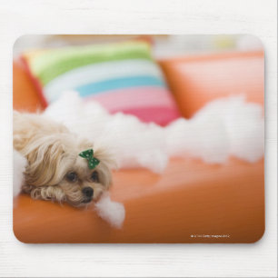Destruktiver Hund Mousepad