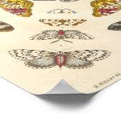 Detail aus Platte IV Poster (Ecke)