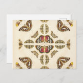 Detail aus Platte VI Postkarte (Vorne/Hinten)