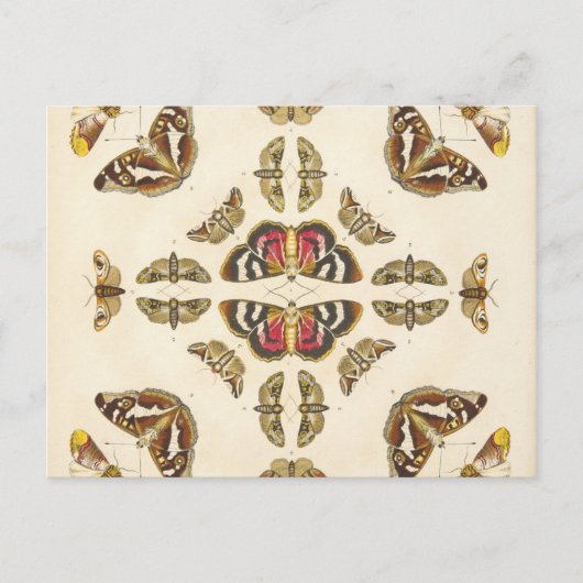 Detail aus Platte VI Postkarte (Vorderseite)