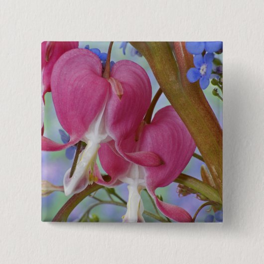 Detail der Blutungsherzen und Brunnera-Jack Button (Vorderseite)